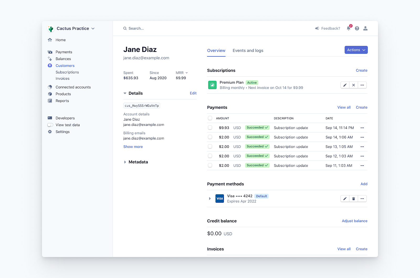 Stripe dashboard, Source: Stripe, Top USA fintech startups 2025